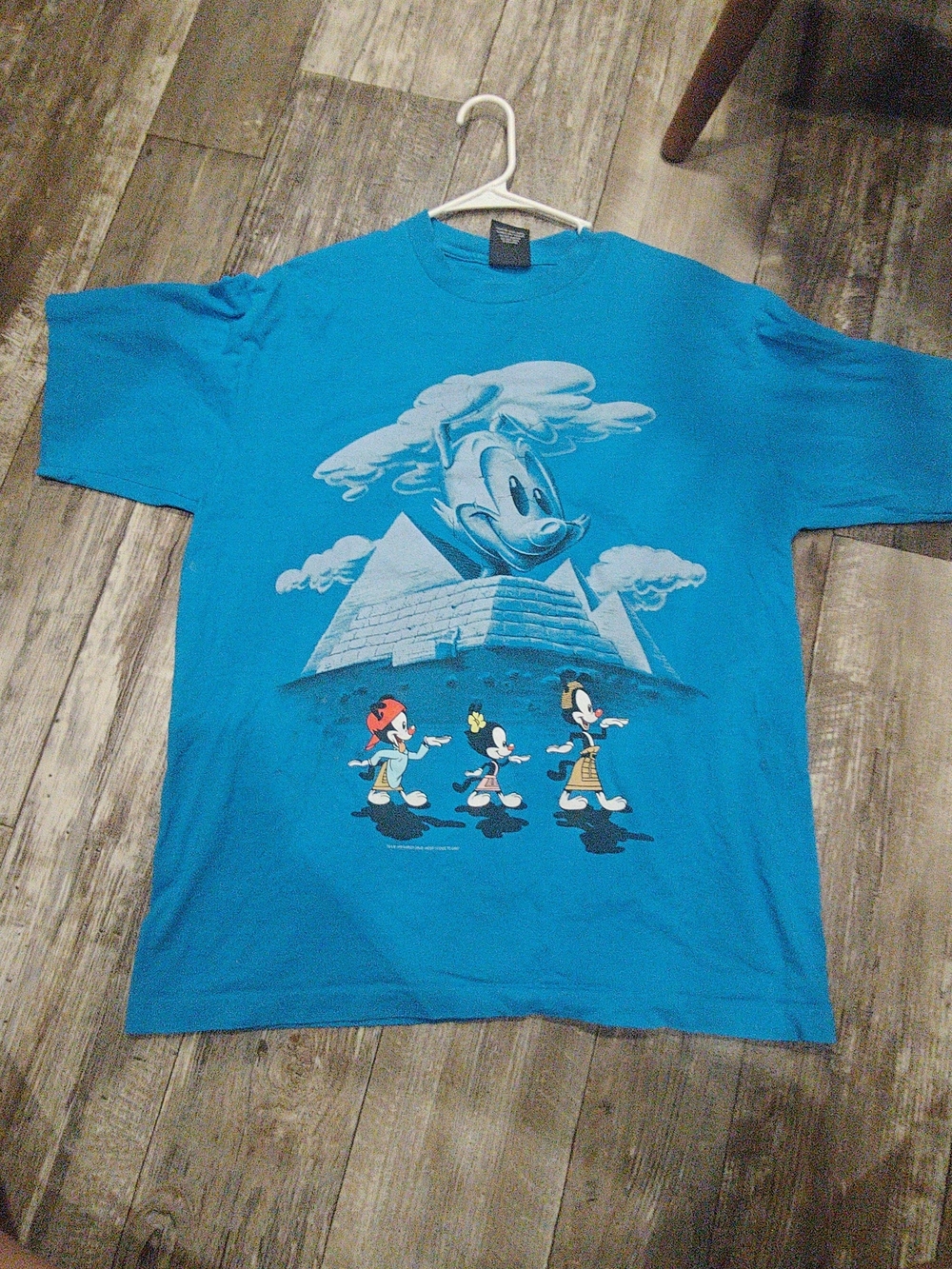 Vintage Animaniacs WB Pyramids Egyptian 1995 90s Single Stitch Shirt Large